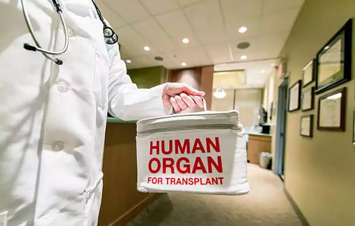 Organs donated in Gujarat.
(Representational image) |