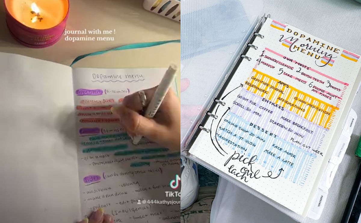 Dopamine Menu TikTok