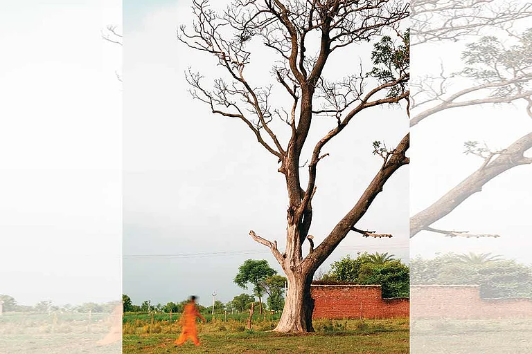 null - Photo: Suresh K. Pandey