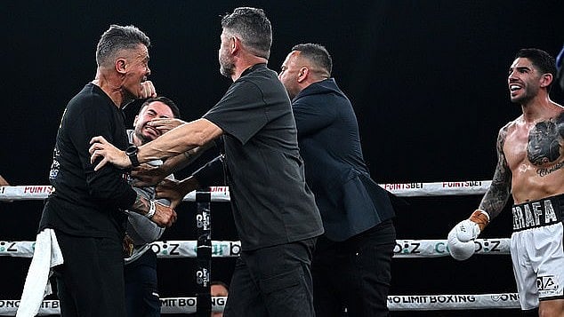 X/whatsn2day : Michael Zerafa's brother, who had just been awarded a technical knockout, punched the trainer of a rival fighter.