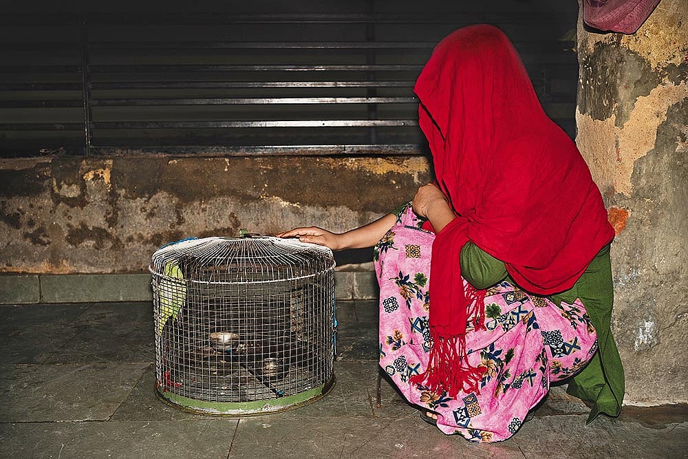 An Ongoing Ordeal: Shabnam at the night shelter with her pet parrot - Photo: Animikh Chakrabarty