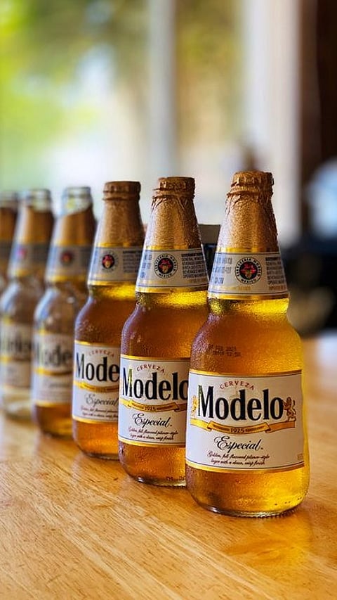 Modelo Especial
