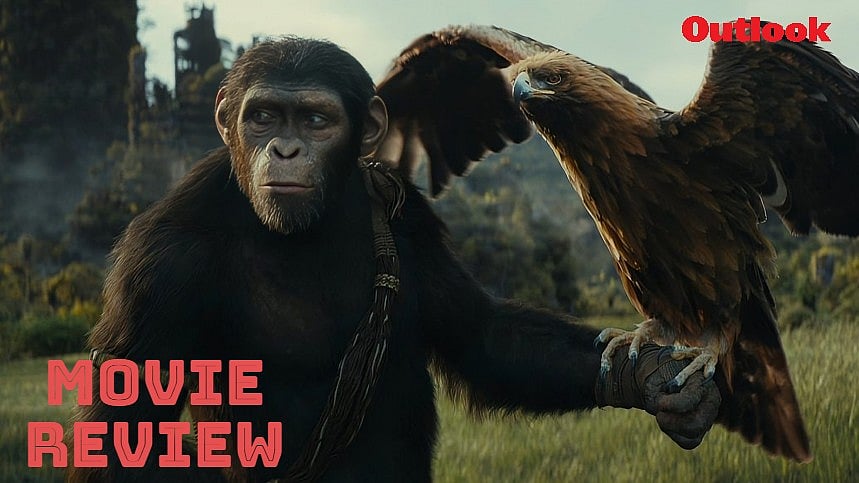 Disney+ Hotstar : A still from 'Kingdom Of The Planet Of The Apes'