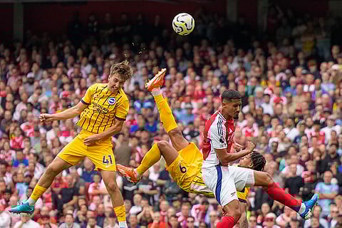 Brighton's Jack Hinshelwood