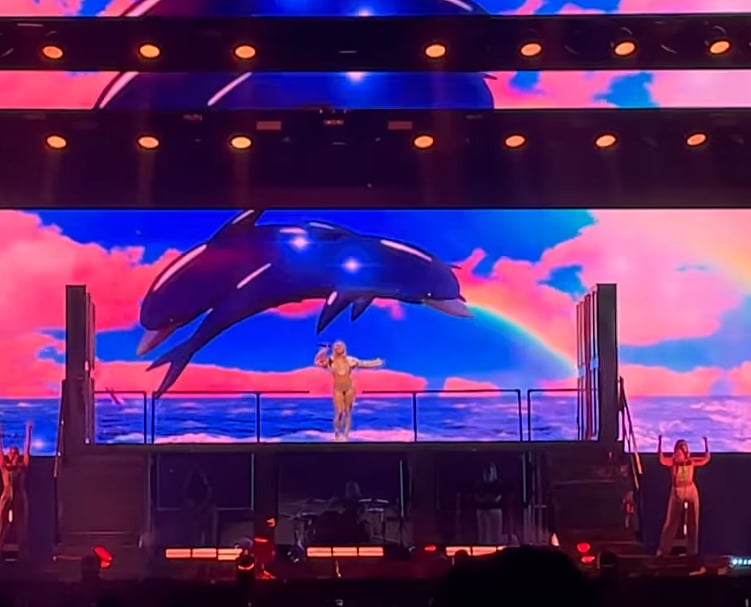 TikTok Dolphin Meme Trend