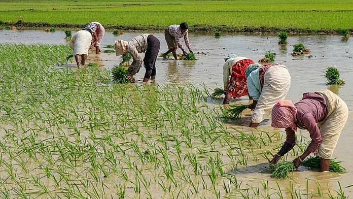 PTI : Effect of monsoon on agriculture