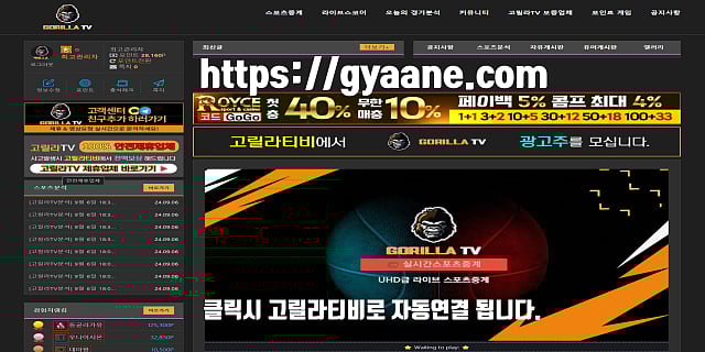 2024년 스포츠중계 고릴라티비와 함께 하세요!