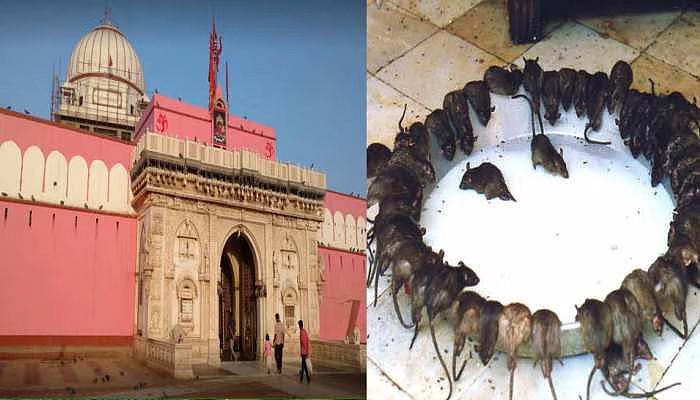 Karni Mata Temple