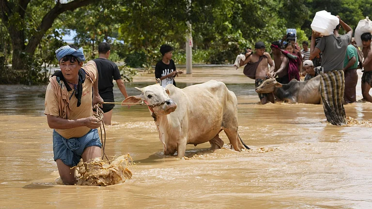 Locals wade through water with their cows in Myanmar. - AP