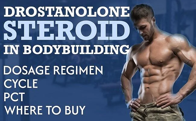 Drostanolone Enanthate And Propionate: Advantages, Dosage Guidelines, Potential Side Effects, And Applications In Bodybuilding Drostanolone Steroid In Bodybuilding