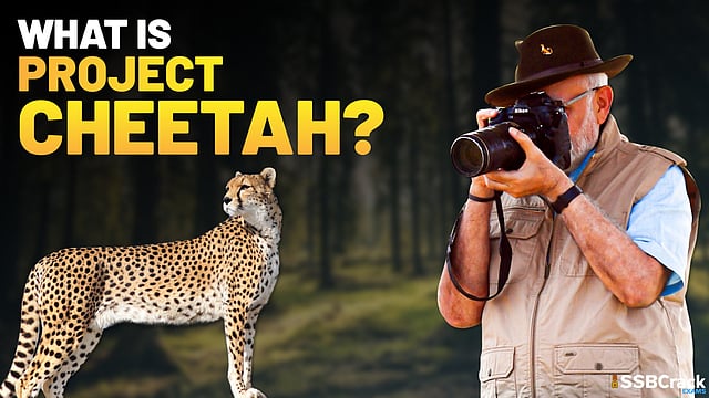 Project Cheetah: A Bold Step In Conservation, With Trials And Triumphs Along The Way