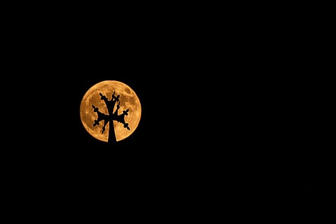 Lebanon Supermoon
