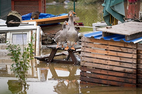 Central Europe Floods: Flooded neighbourhood in Ostrava, Czech Republic