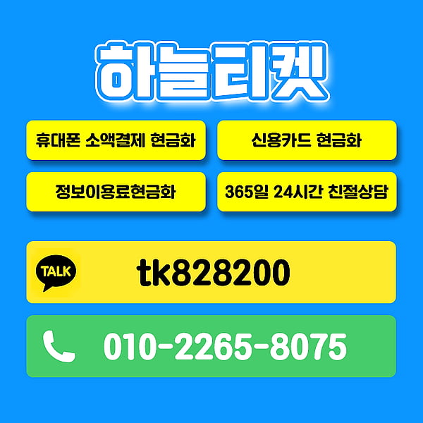 공식적으로 등록된 신용카드 현금화 회사