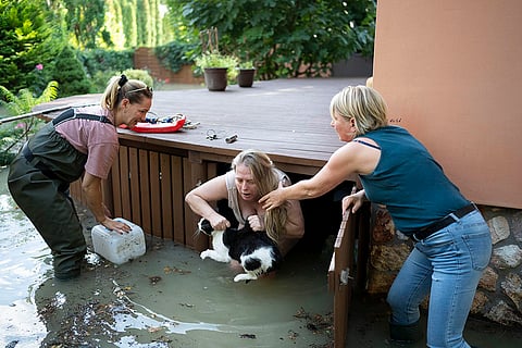 Central Europe Floods: Women save a cat from floods near Budapest