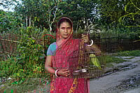 The River Refugees Of The Ganga Photos: Sandipan Chatterjee : Puspomala Mandol, 27, was displaced from her village in 2023. She managed to rescue her parrot. The family members moved to a new village in Malda and are trying to restart their lives. The pet parrot got a new lease of life, too.