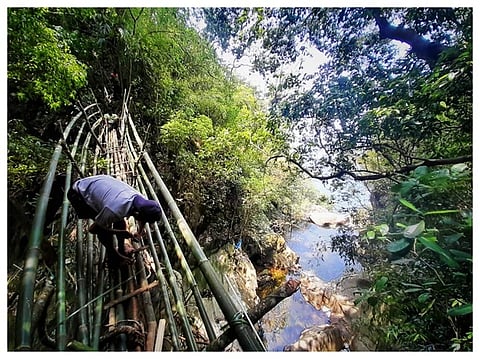 Meghalaya’s living root bridges take decades to grow, and are traditionally used for access across the state’s rivers, ravines and gorges. They have now turned into tourist attractions.