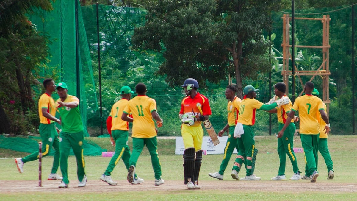 Photo: X | Tanzania Cricket Association : Cameroon cricket team players during a match.