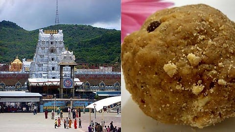 TTD's Laddu Prasadam is one of the most famous sacred sweets in the nation |