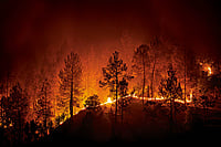 Deepening Climate Crisis  Photo: Shutterstock : A forest fire at night in Barechhina, Almora, Uttarakhand
