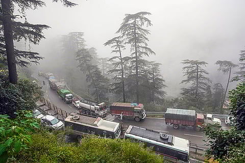 Tree uprooted after heavy rains in Shimla
