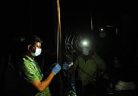 Photo by C. K Thanseer/DeFodi images via Getty Images :  This is one of six measures that will be implemented in the country as part of its initial response to the Nipah virus outbreak in West Bengal, it said. (representative image)