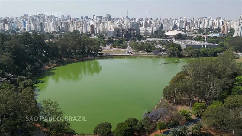 lake in Sao Paulos iconic Ibirapuera Park has turned green due to algal bloom