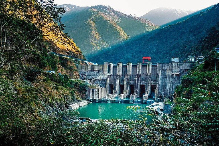 null - Photo: Shutterstock