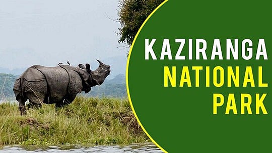 Kaziranga National Park