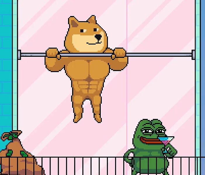 Meme Coin ICOs You Don't Want To Miss!