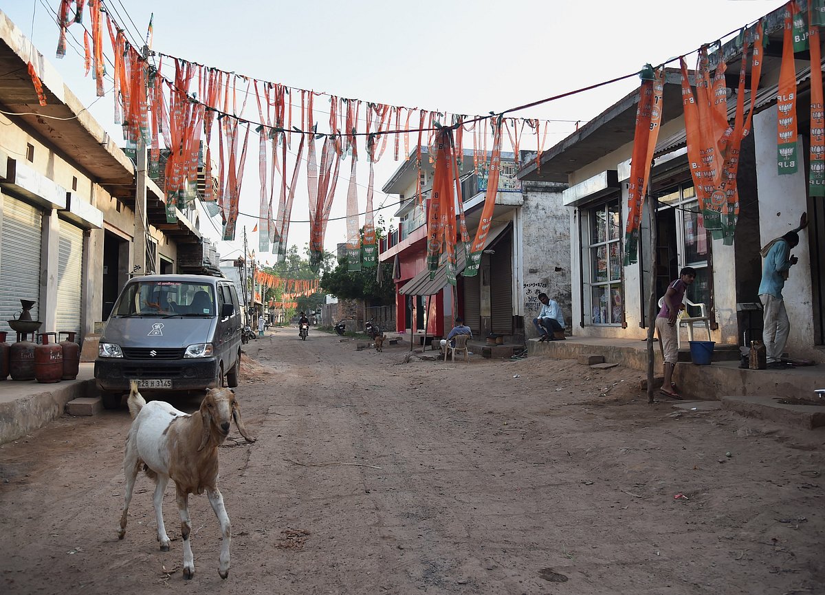 BJP festoons in Ferozepur Jhirka, a Muslim-majority Assembly constituency in Haryana