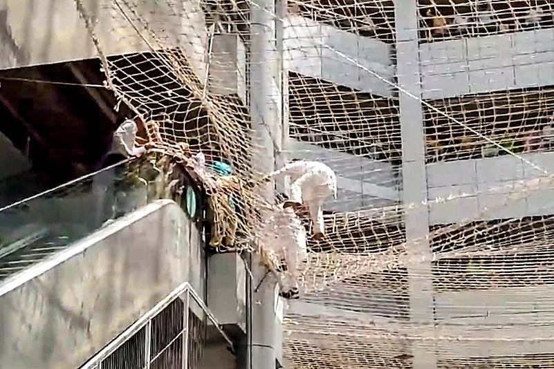 Maha Assembly Dy Speaker Narhari Zirwal jump onto safety nets at Mantralaya