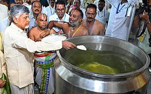 PTI : Andhra Pradesh Chief Minister N Chandrababu Naidu inaugurates the Vakulaamatha centralised kitchen, in Tirumala Tirupati, Saturday, Oct. 5, 2024.