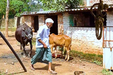 Pashudhan Vikas Yojana beneficiary in Jharkhand
