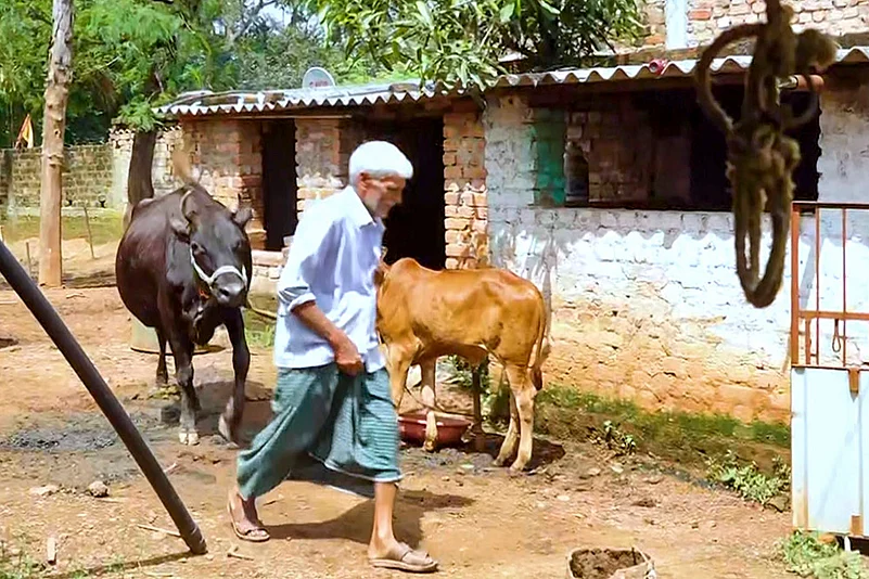 Mukhyamantri Pashudhan Vikas Yojana beneficiary in Jharkhand