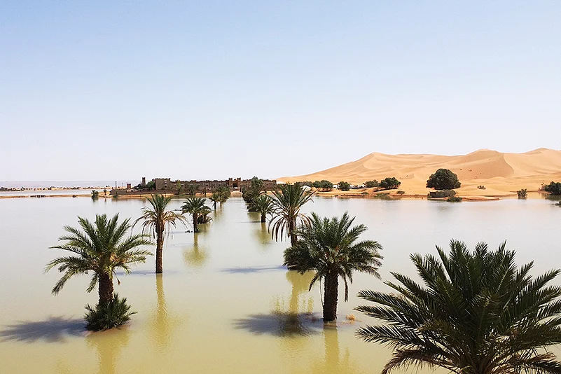 Desert Rain: Sahara Desert floods in Morocco_6