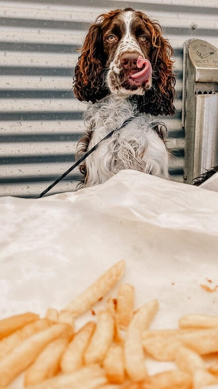 | IPPAWARDS : Shot on iPhone 13