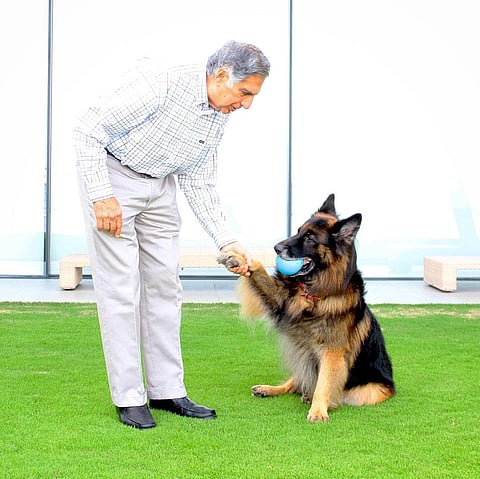 Ratan Tata was a dog lover and established a pet hospital.