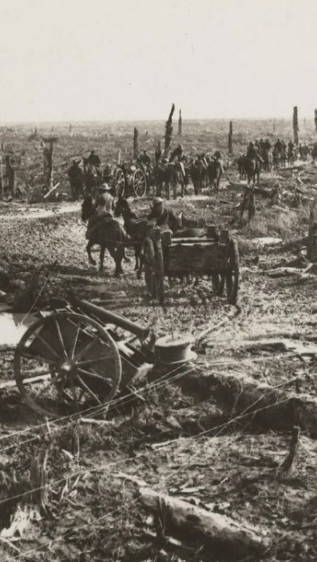 As world leaders tried to stop tensions in the Middle East from boiling over into a regional war, here's a look back at history's deadliest conflict. - nam.ac.uk