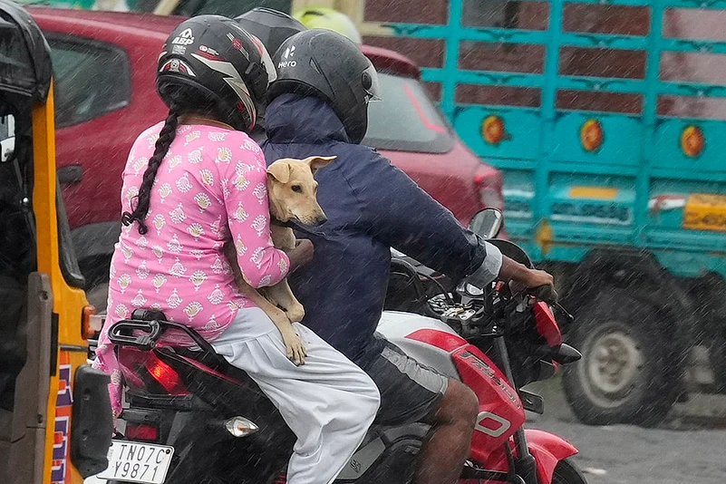 Chennai Rains