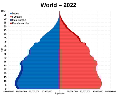 Population pyramid of the world in 2022 by the UN