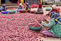 Day In Pics: October 18, 2024 | Photo: PTI : Vegetable market in Karnataka