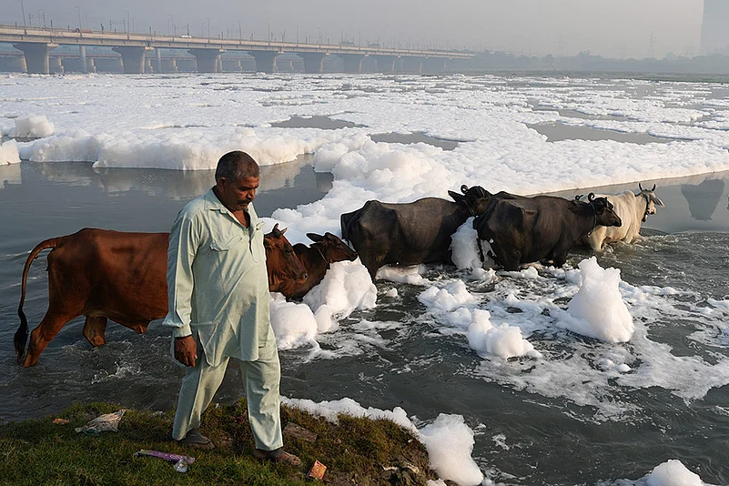 Yamuna river pollution: Toxic foam floats on the surface of the Yamuna river, in New Delhi_4