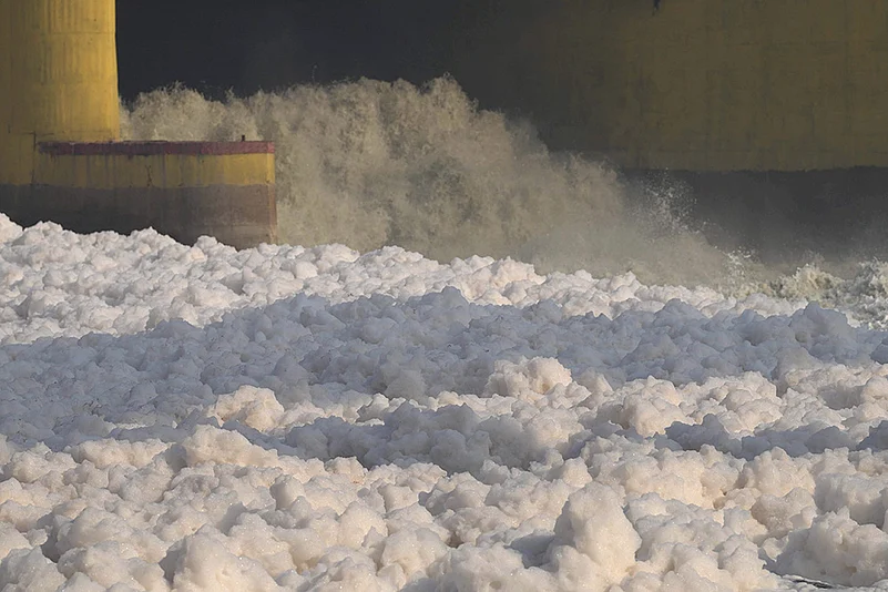 Yamuna river pollution: Toxic foam floats on the surface of the Yamuna river, in New Delhi_3