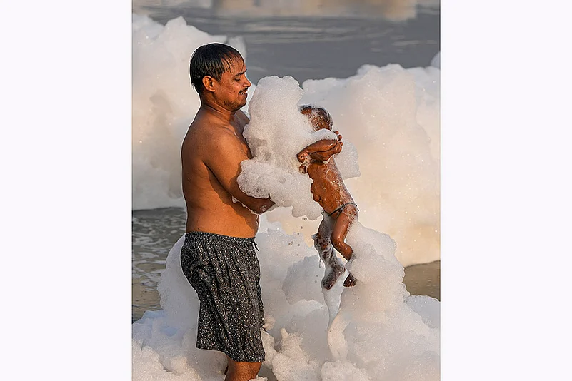 Yamuna river pollution: Toxic foam floats on the surface of the Yamuna river, in New Delhi_7