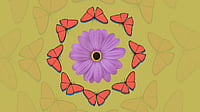 Vikas Thakur : representative image