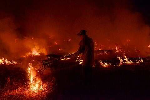 Stubble burning in Punjab