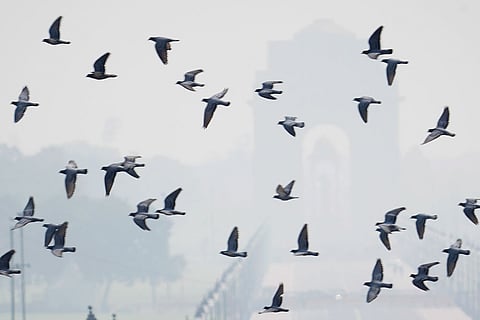 Weather: Smog in Delhi