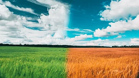 Govt Launches Localized Weather Forecast Service For Gram Panchayats