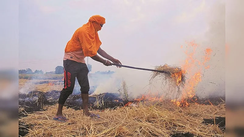 Stubble Burning